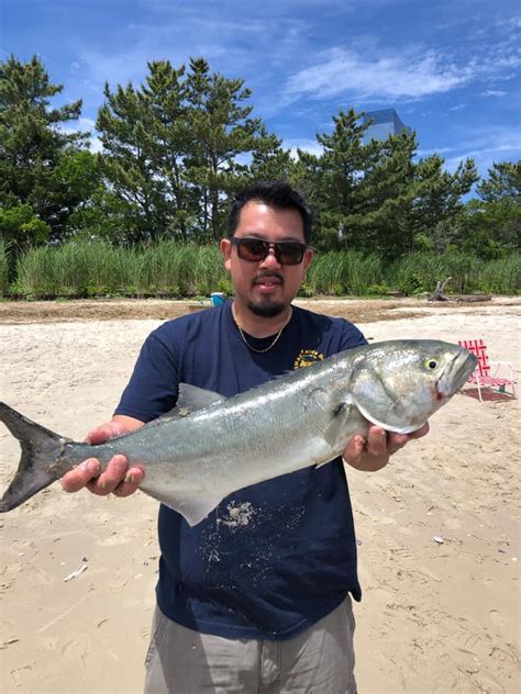 Delaware Fishing Report .